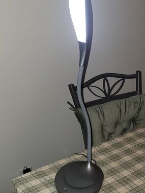Modern Adjustable LED Desk Lamp in Gunmetal Gray